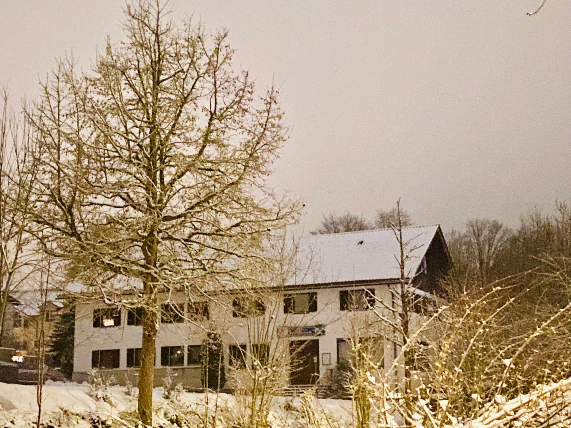 Pension Waldblick Spiegelau Zewnętrze zdjęcie